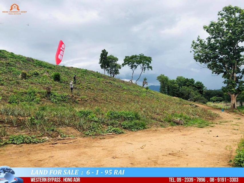 ขายที่ดินสวยเนินดอย พื้นที่ 6-1-95 ไร่ วิวภูเขา 360° ติดถนนบายพาสตะวันออก ฮ่องฮ้อ อ.เมืองเชียงราย 12