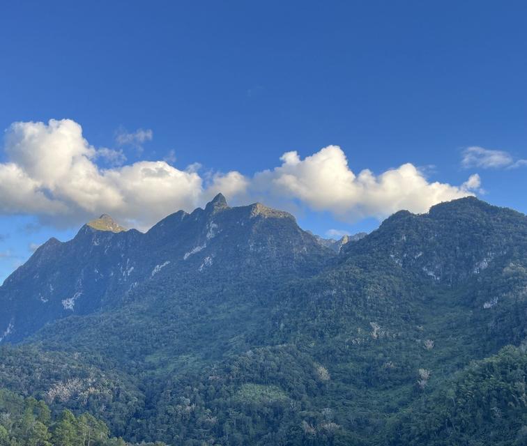 ที่ดินเชียงใหม่ อ.เชียงดาว ต.เชียงดาว 1