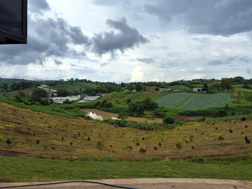 สวนทุเรียน พร้อมบ้าน 8