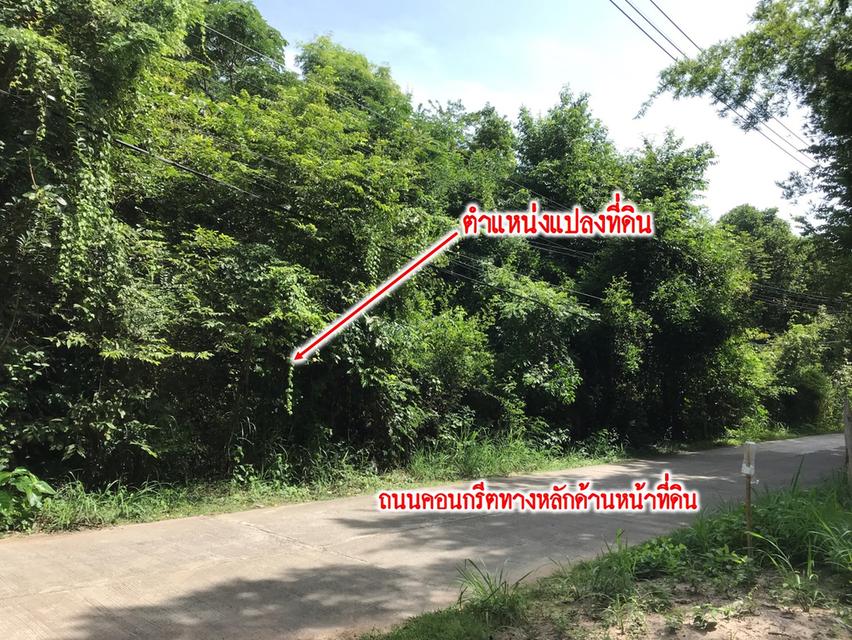ที่ดินสันป่าตอง @ เชียงใหม่ 7