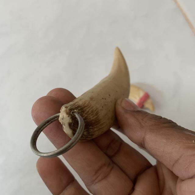 ของสะสม ไม่ทราบที่มา 6