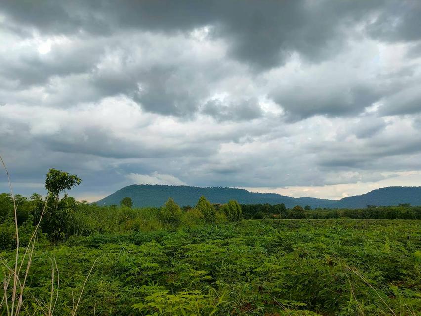 ที่ดิน จำนวน 35 ไร่ 2 งาน อำเภอ กระนวน จังหวัดขอนแก่น 3