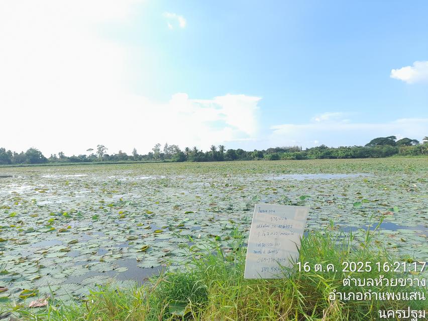 บ้านสวยหน้าอยู่ ทำเลดี 2