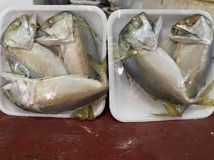 ขายปลาทูนึ่ง เเพ็คละ 30 บาท 