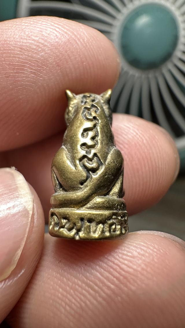 เครื่องรางเสือไม่ทราบที่ รูปย่อยที่ 2