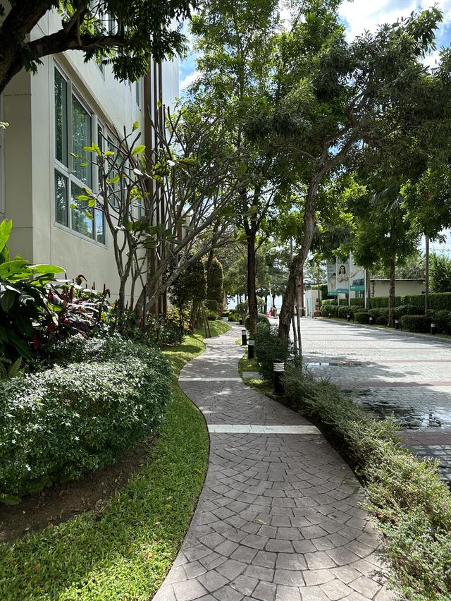 Condo Cetus beachfront Pattaya 5