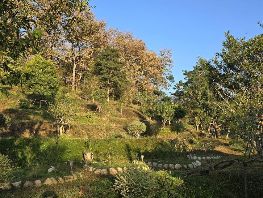 ขายที่ดินพร้อมสิ่งปลูกสร้าง ต.แม่แรม อ.แม่ริม เชียงใหม่ 7