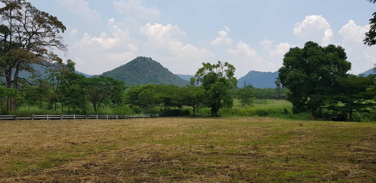 ขายที่เขาใหญ่ โครงการเขาพระนอน 387ตร.ว-2ไร่ ที่สวย กุดคล้าผ่านศึก หมูสี เหวปลากั้ง วิวเขาสวย เดินทางสะดวก มี รปภ ดูแลความปลอดภัยตลอด 0879074045