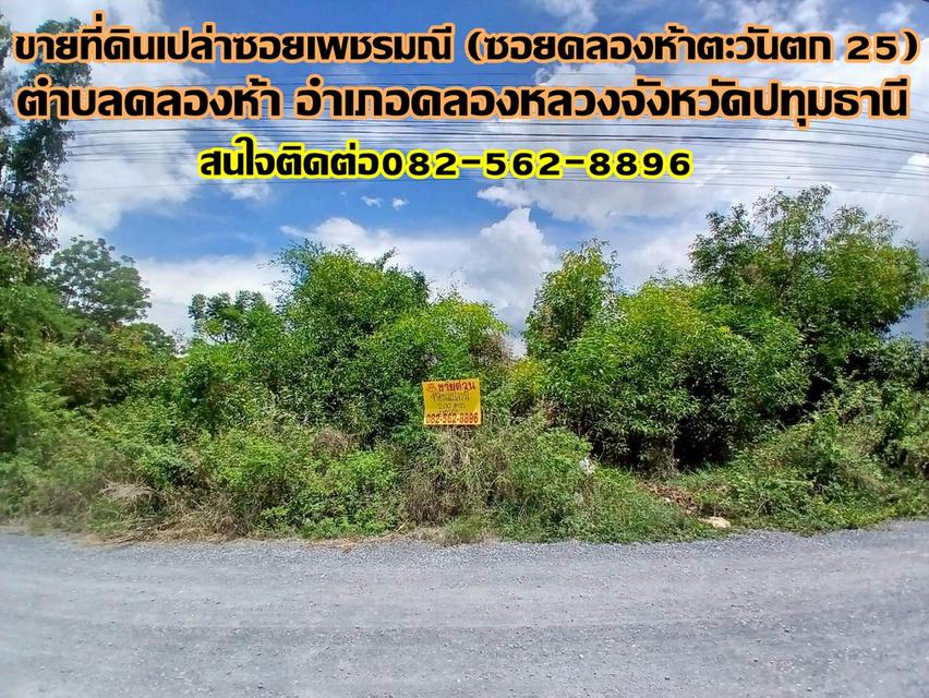 ขายที่ดินเปล่า ซอยเพชรมณี (ซอยคลองห้าตะวันตก 25) 1