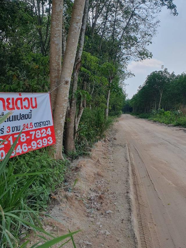 🔥 ขายที่ดินสวนยาง แปลงสี่เหลี่ยมสวย ทำเลทอง EEC ใกล้นิคมฯ เจ้าของขายเอง 🔥 2