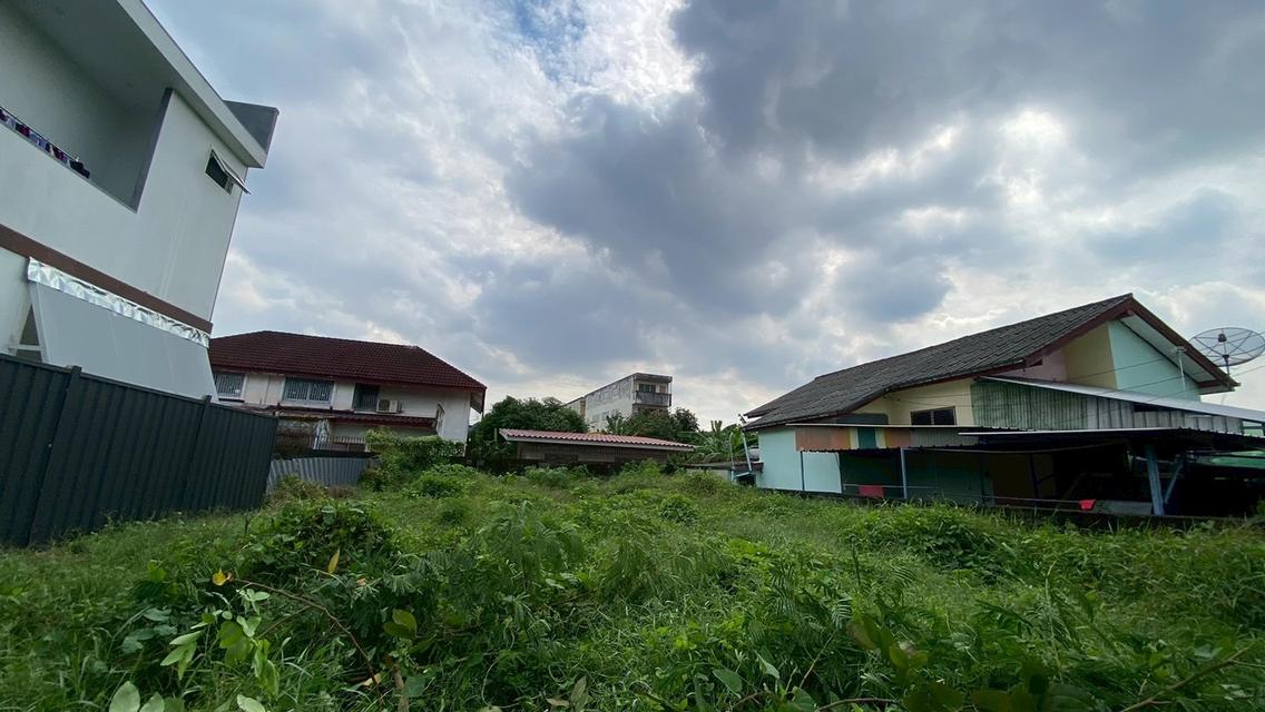 ขายด่วน ที่ดินใกล้เดอะมอลล์บางแค 75 ตารางวา ติดถนนคอนกรีตสาธารณะ ถมแล้ว ซอย เพชรเกษม 68 แยก 29 เขตภาษีเจริญ กทม. 5