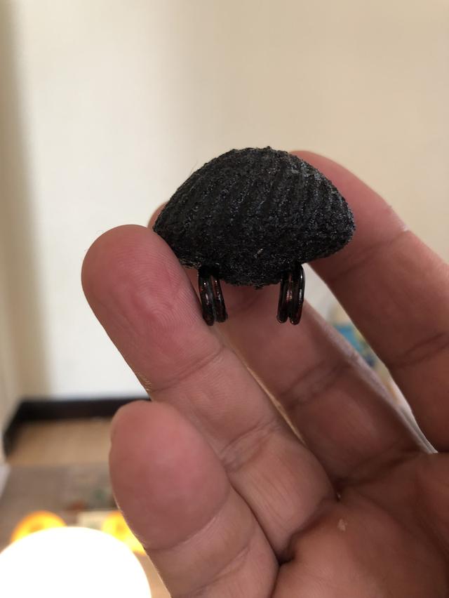 เบี้ยแก้ปูเจือวัดกลางบางแก้ว นครปฐม