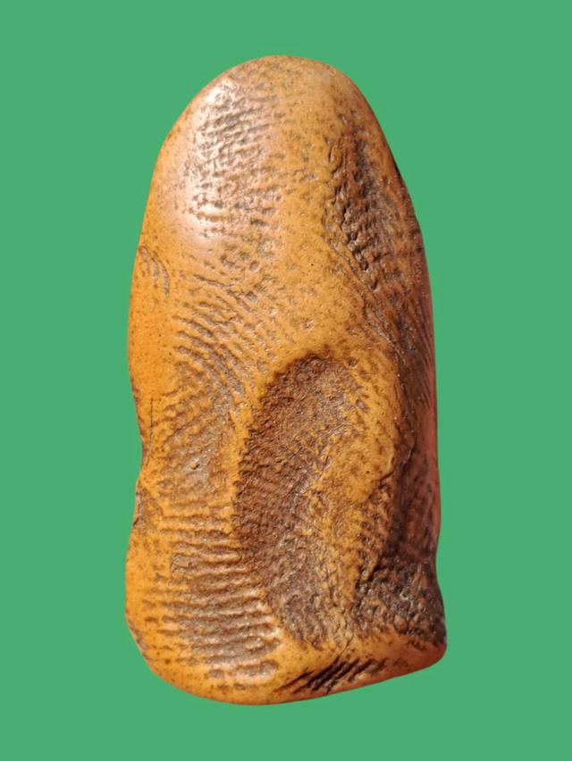 เปิดจ้า💞สนใจทักแชทได้เลยนะคะ 💚ส่งฟรีค่ะ 🥰 รูปที่ 2