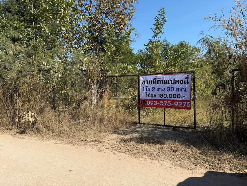 ที่ดินลำปาง ราคาถูกมาก ใกล้ถนนหลัก ใกล้คาเฟ่ น้ำไม่ท่วม 4