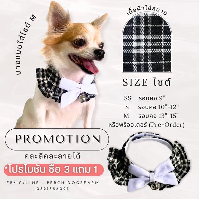 หมา ปลอกคอหมา 3เเถม1 คละเเบบได้