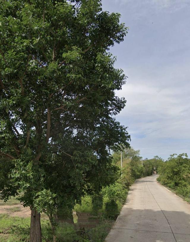 ขายที่ดินตำบลโคกสูงเมืองจังหวัดนครราชสีมา ขนาดที่ดิน11-3-75ไร่โฉนด รูปที่ 3