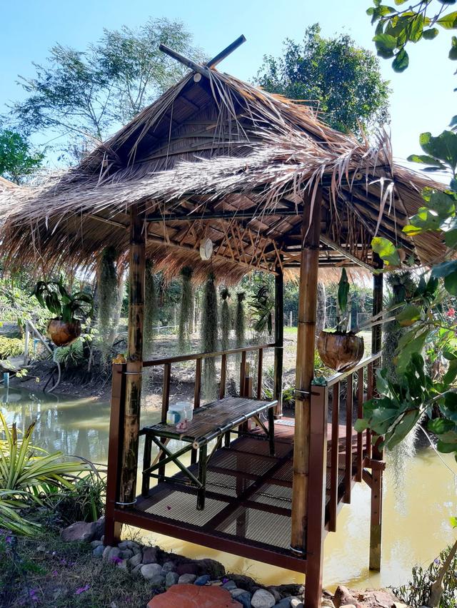 ที่ดินบ้านโป่ง จ.ราชบุรี ใกล้ทางด่วนสาย 81 บางใหญ่-กาญจนบุรี ที่ดินติดน้ำ โฉนดครุฑแดง พร้อมโอนกรรมสิทธิ์ 11