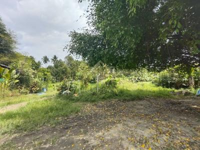 ที่ดินเปล่า ถมแล้ว 2-0-83.9 ไร่ ติดถนนใหญ่ ปากพูน นครศรีธรรมราช แปลงสวย 4