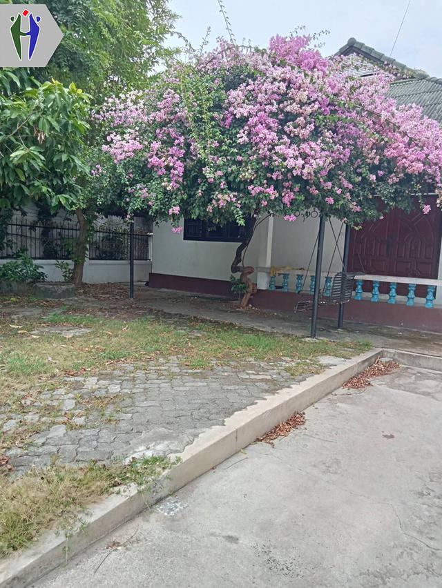 บ้านเดี่ยวให้เช่า เขาน้อยพัทยา ไม่มีเฟอร์นิเจอร์ •	ขนาด 60 ตารางเมตร 3 ห้องนอน 2 ห้องน้ำ  •	เครื่องปรับอากาศ  •	บ้านไม่มีเฟอร์ •	ที่จอดรถในร่ม ตำแหน่ง 2