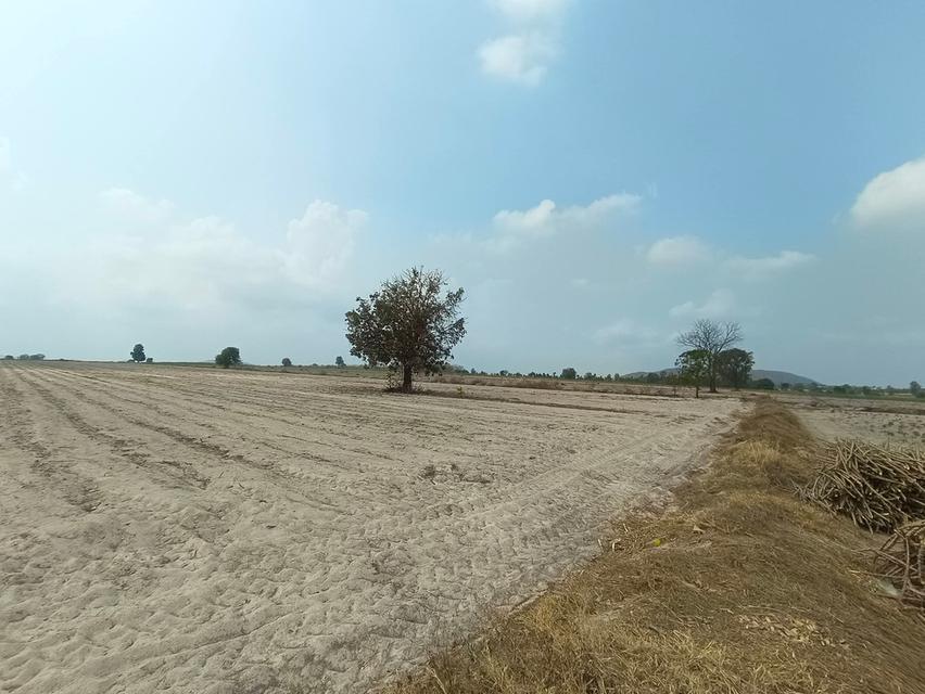 ที่ดิน 89 ไร่ ไร่ละ 170,000 4