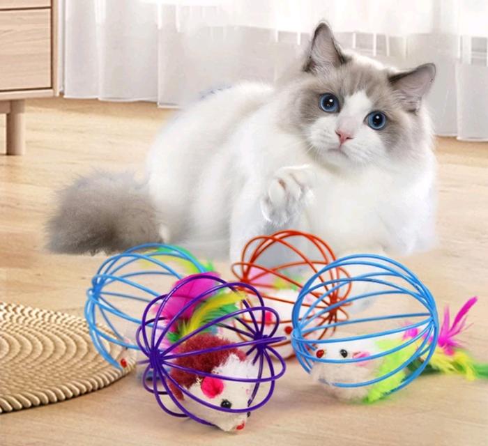 บอลของเล่นแมว