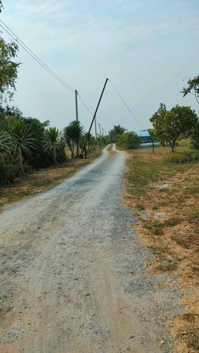 บ้านพร้อมที่ดินแปลงใหญ่ 12