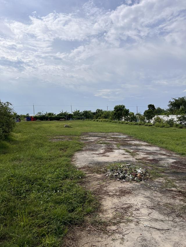 ขายที่ดินคลองนิยมยาตราสีม่วง 2 ไร่ ติดถนนเส้นทล.3091 หลังนิคมเวลโกรว์ อ.บางบ่อ จ.สมุทรปราการ 4