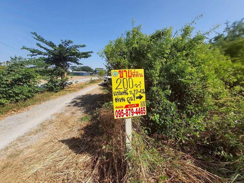 ขายถูก !! ที่ดินใกล้วัดราษฎร์นิยม 200 ตารางวาติดถนนสาธารณะ ถมแล้ว อ.ไทรน้อย จ.นนทบุรี 2