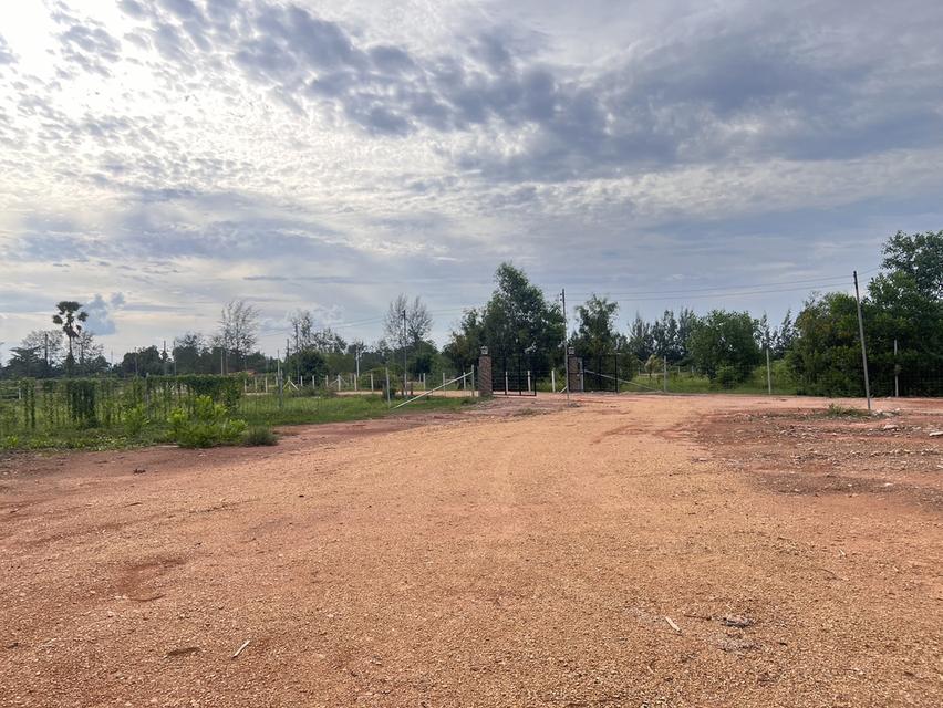 ขายบ้านพร้อมที่ดินติดทะเล บรรยากาศดี เนื้อที่กว่า 1 ไร่ 11