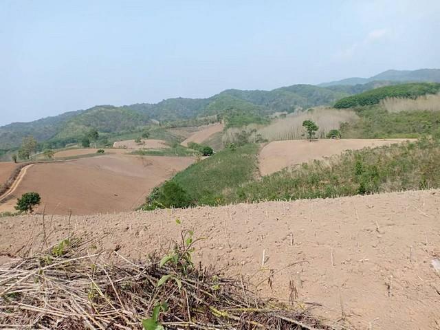 พื้นที่ดิน ที่ดิน ต.ปอน อ.ทุ่งช้าง จ.น่าน พ.ท. 408 RAI 1 NGAN 3 ตร.ว. 73400000 บาท โครตคุ้ม น่าน 5