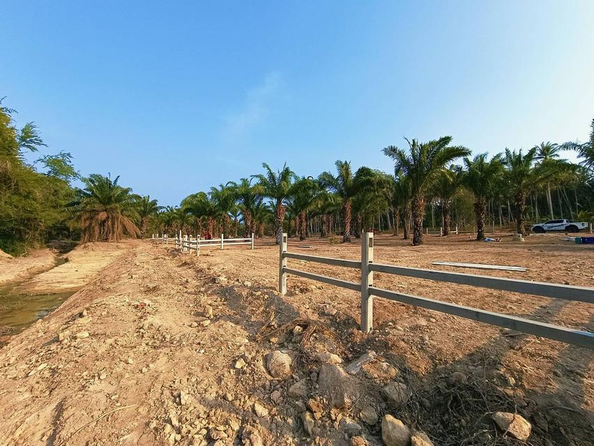 ขายที่ดินทับสะแกแลนด์ 5-3-96 ไร่ ติดถนนสายเอเชีย ทำเลทอง ราคาสำหรับนักลงทุน เพชรเกษมขาล่องใต้ ประจวบคีรีขันธ์ 10