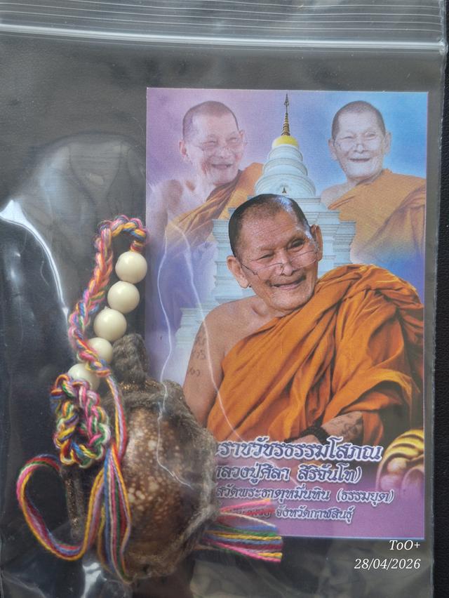 เบี้ยแก้ หลวงปู่ศิลา