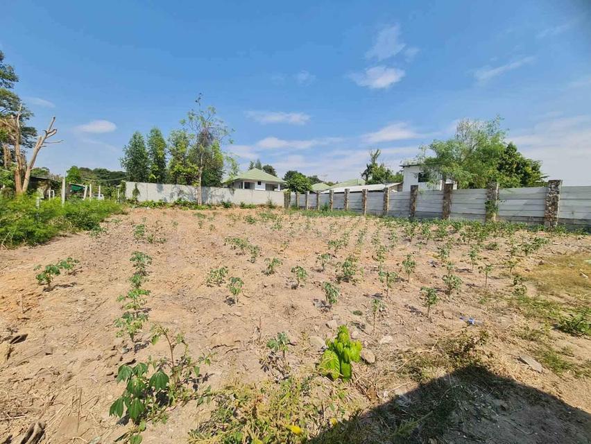 ขายที่ดินฝั่งทะเล บางละมุงเนื้อที่ 5 ไร่ ซ.สุขุมวิท-บางละมุง31 ใกล้ถ.สุขุมวิท3-1.1กม อ.บางละมุง ชลบุรี 2