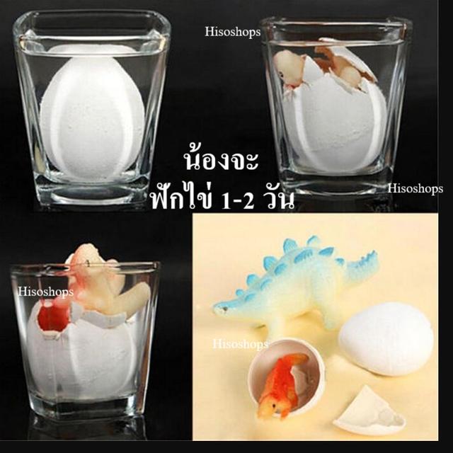 DINOSAUR EGGS ไข่ไดโนเสาร์แช่ น้ำใบใหญ่ ไดโนเสาร์ฟักจากไข่มหัศจรรย์ ให้คุณหนูๆได้ลุ้นการฟักตัวของไดโนเสาร์ 4