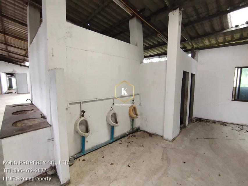 ให้เช่าโรงงาน ราคาถูก พระราม2 สมุทรสาคร ออฟฟิศ,บ้านพักคนงาน,เคน 2 ตัว 20