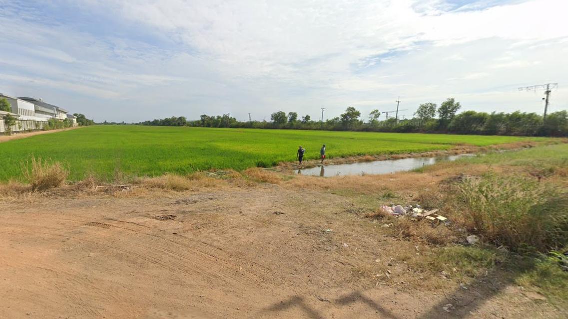 ขายที่ดินเปล่า สีม่วงลาย ฉะเชิงเทรา 5