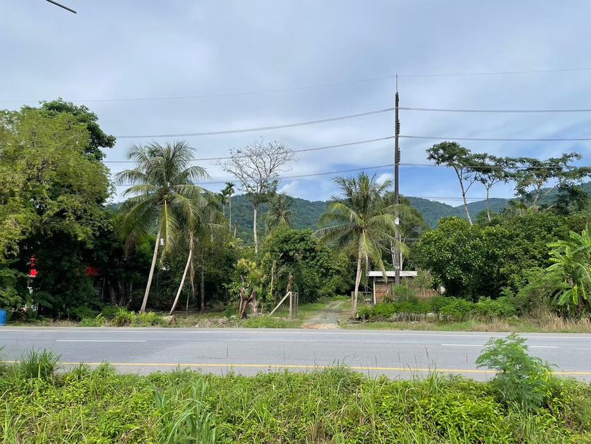 ที่ดิน 8.5 ไร่ ริมถนนสุขุมวิท ต.คลองนารายณ์ อ.เมือง จ.จันทบุรี 10
