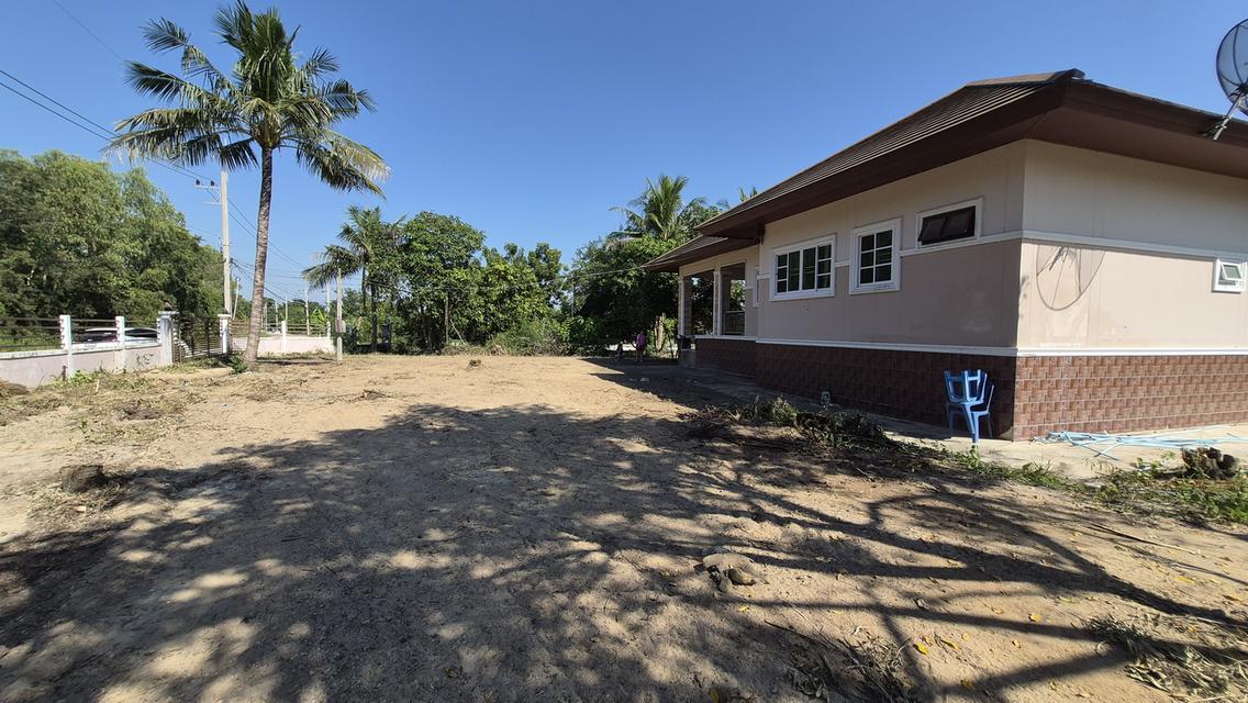 🔥🏡 บ้านพร้อมที่ดินผืนใหญ่ ใกล้ถนนใหญ่ ราคาโคตรคุ้ม! 🏡🔥 💥 เพียง 2.5 ล้าน ได้ทั้งบ้าน + ที่ดินกว่า 2 ไร่! 📣 โอกาสนี้ไม่ได้มีบ่อย! ใครกำลังหาบ้านพื 2