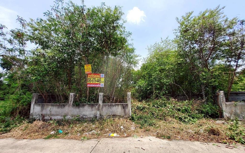 ขายด่วนที่ดินวิวคลอง 95 ตรว ติดถนนสาธารณะ คลองสี่ ซ.สุสวาส ธัญบุรี ปทุมธานี 1