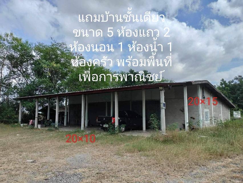 ขายถูกมากห้ามพลาดที่ดินทำเลทอง ติดถนน 4 เลน 207 อำเภอประทายโคราช หน้ากว้าง 80 เมตร ขายถูก 1.39 ล้าน ต่อไร่ 5