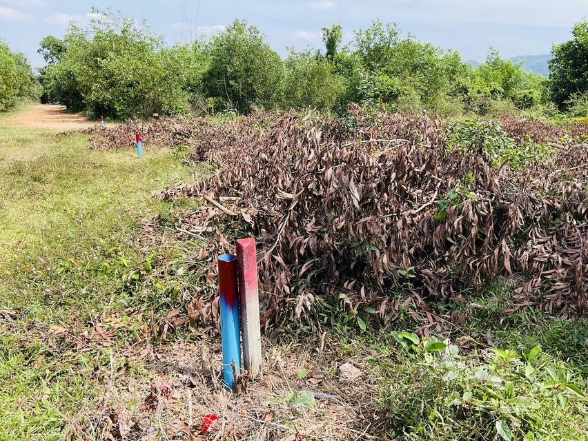 ขายที่ดิน 4 ห้อง คลองแห หาดใหญ่ 3
