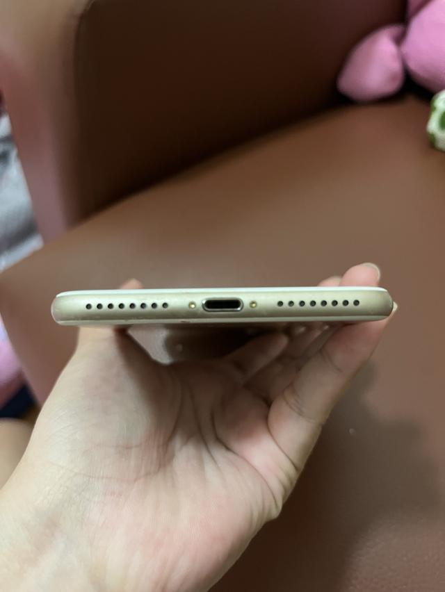 iPhone 7 Plus  6