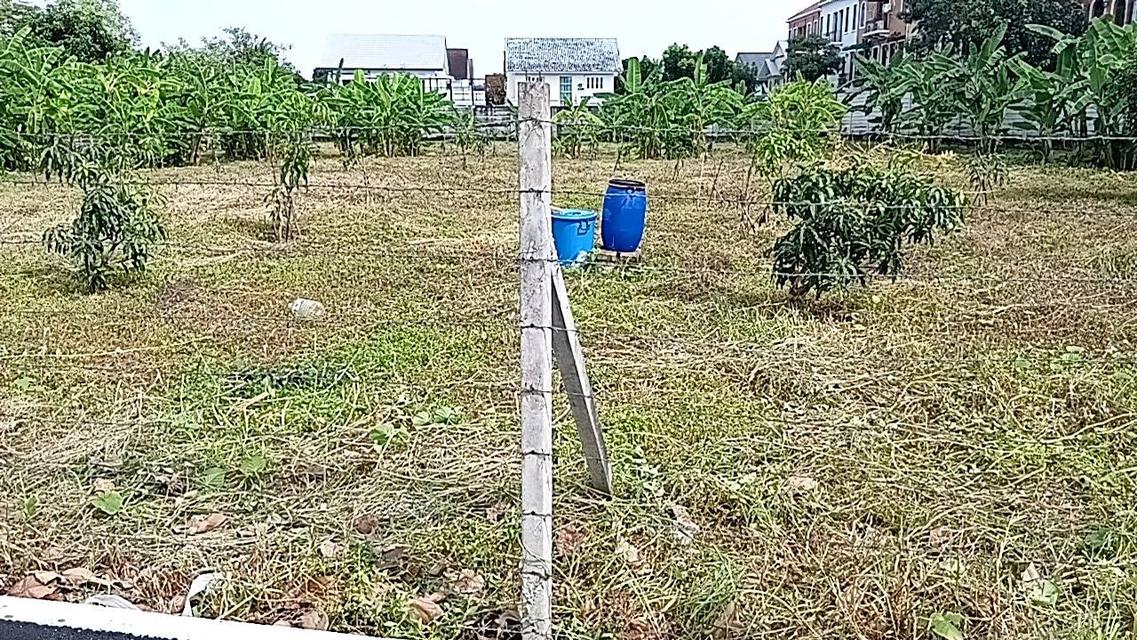 ที่ดิน เปล่าทำเลดี ติดถนนวัชรพล เวนิสดิไอริส  หมู่บ้านเศรษฐสิริวัชรพล 7