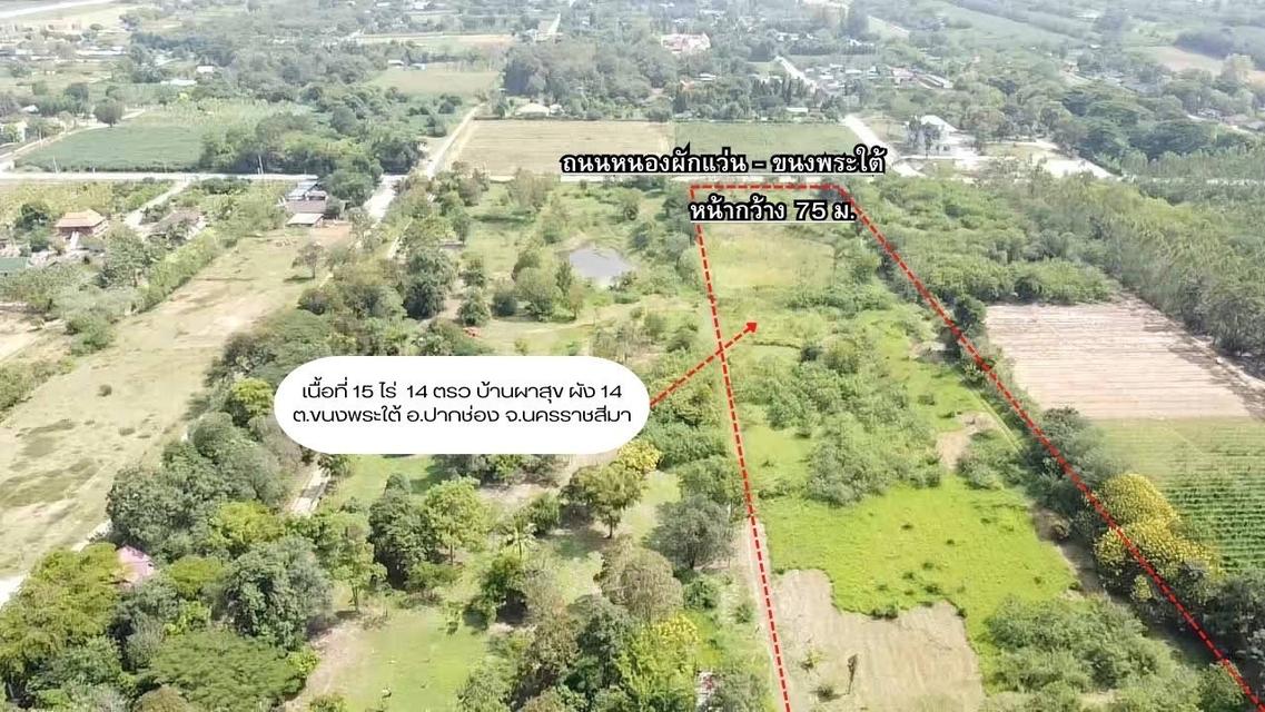 ขายที่ดินปากช่อง ขนงพระใต้ 8