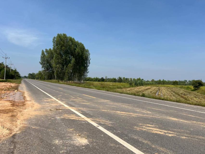 ที่ดินว่างเปล่า มมส มหาสารคาม 2