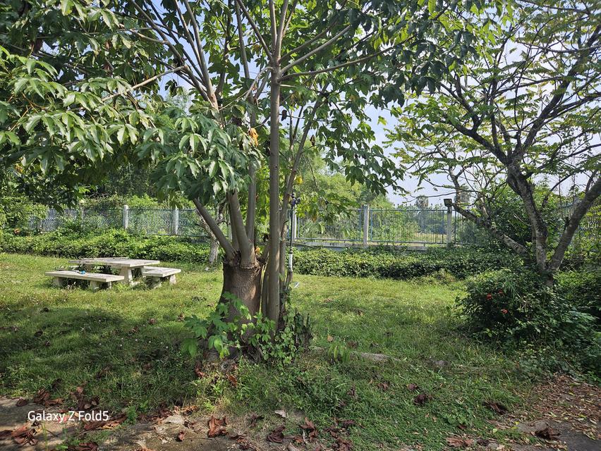 ที่ดินติดถนนสาย 33 ปราจีนบุรี 10