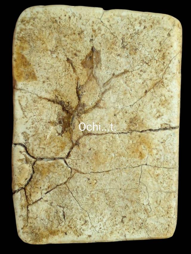 พระเครื่องของเก่าของสะสม รูปที่ 2