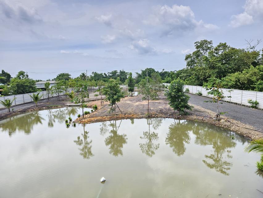 ขายที่ดินหนองจอก คลองสิบสอง พร้อมบ้านสวน 1