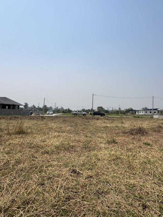 ขายที่ดิน ราคา5,500บาท/ตร.ว. ต.สง่าบ้าน อ.ดอยสะเก็ด จ.เชียงใหม่ 6