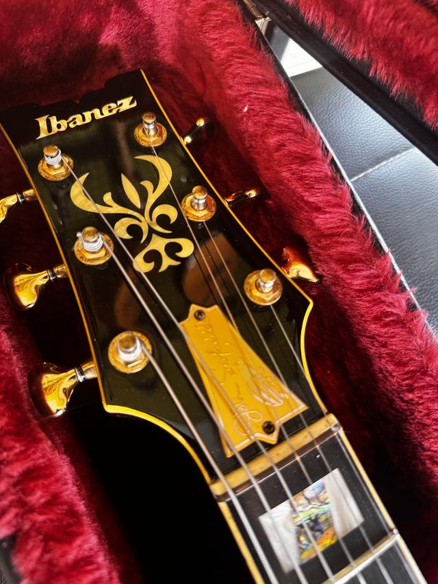 Guitar Ibanez John Schofield